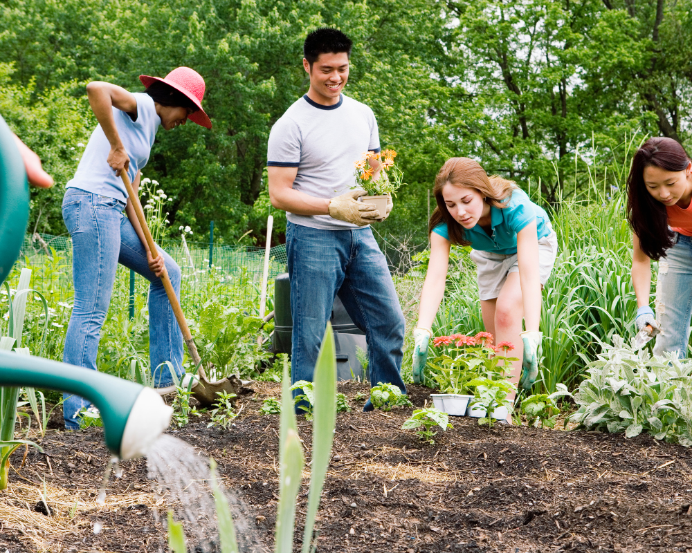 Conoce y aprovecha esos jardines comunitarios que tienes cerca: Cultiva acompañado