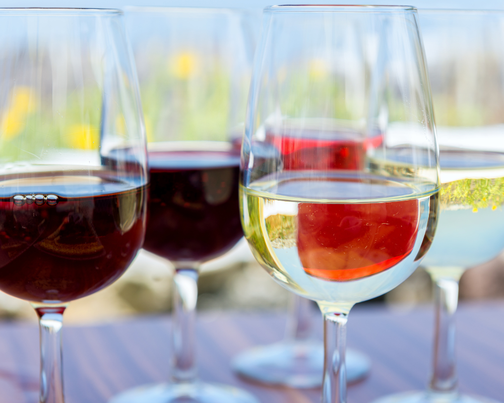 Cómo disfrutar mejor las bodegas y los viñedos en el estado de Washington durante la temporada de Otoño