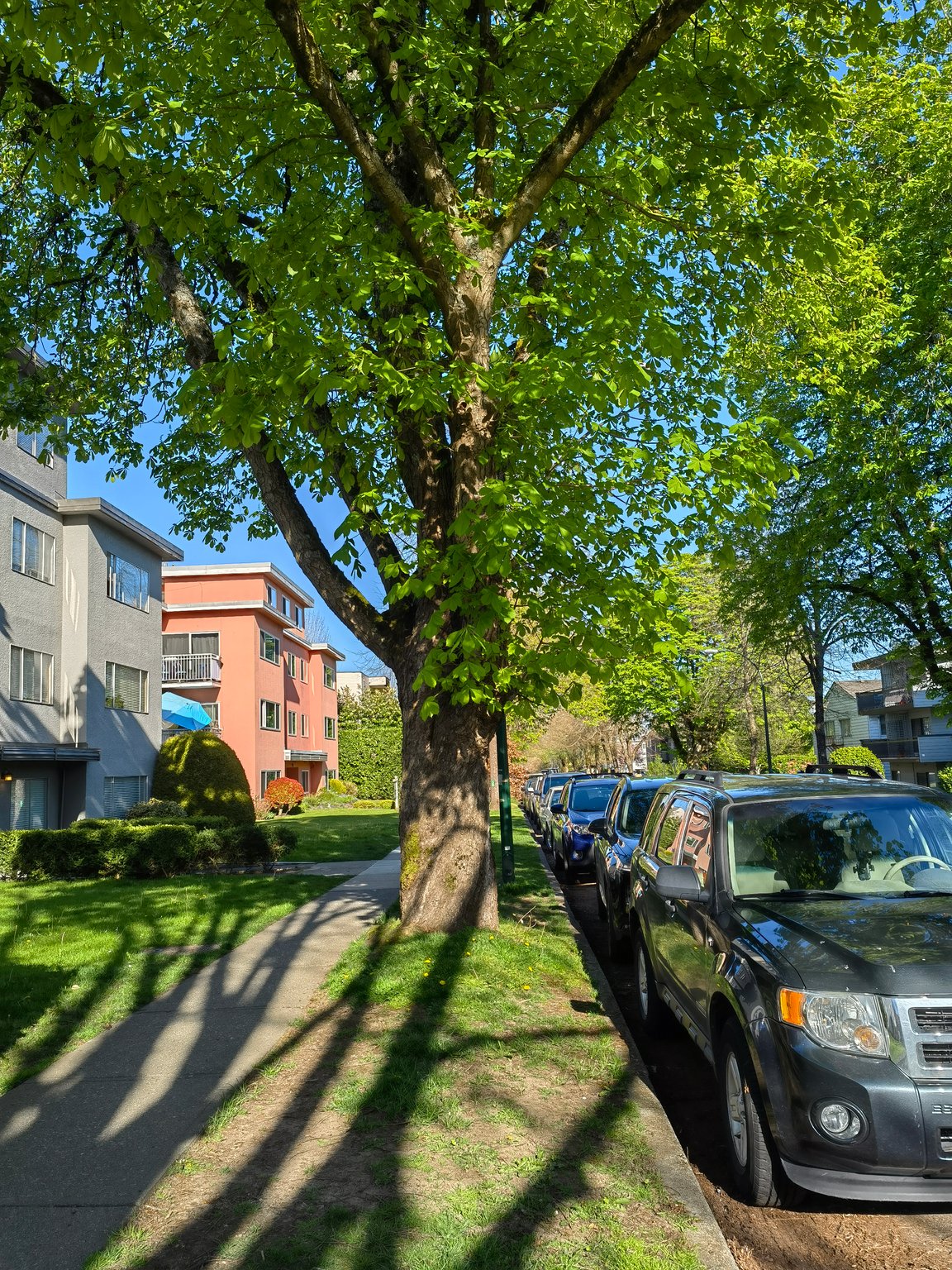 Additional image 7