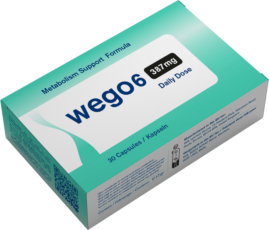 wego6