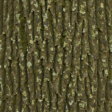 Seamless tiling bark texture.