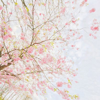 光年彼岸的最爱