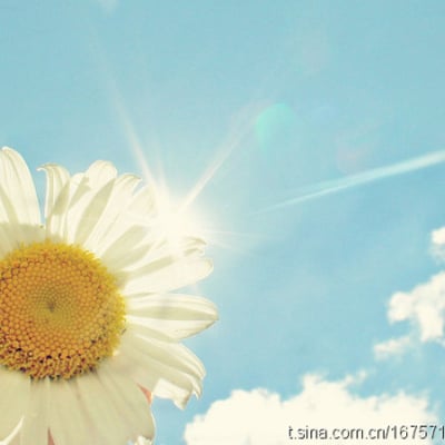 何小猪 ting的最爱