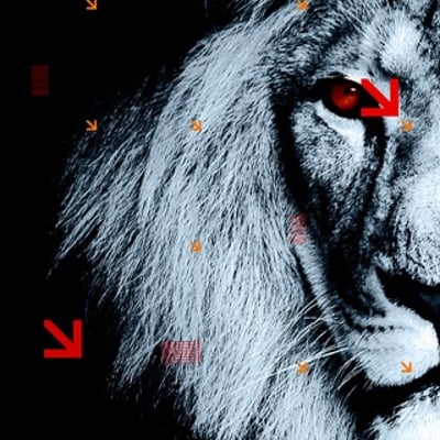 烟草诱惑的最爱