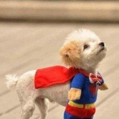 り 唯ЗΛ07 Q的最爱