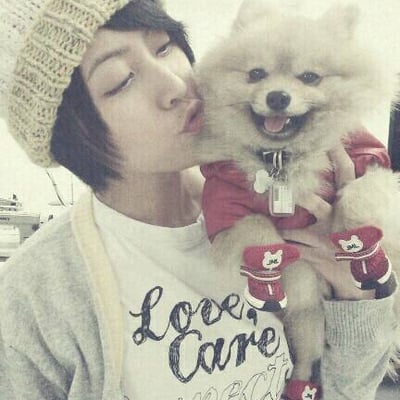 暗淡无光泽的我的最爱