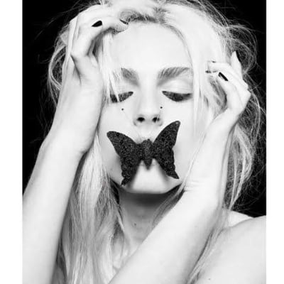 八两七钱的最爱