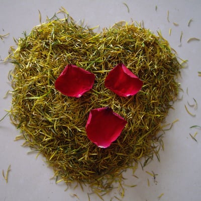 vip110462037的最爱