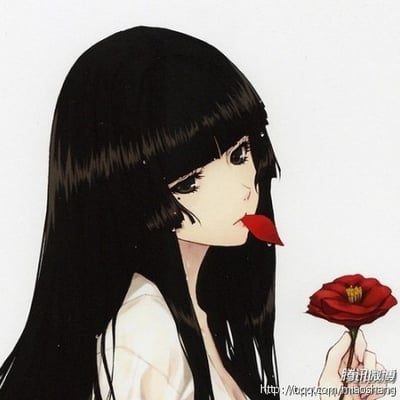 夜玥醉眠枫的最爱