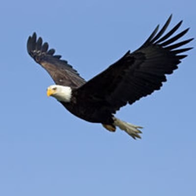 雨歇微凉的最爱