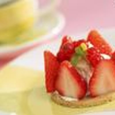 文文墨客的最爱