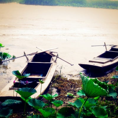 玄之又玄的最爱