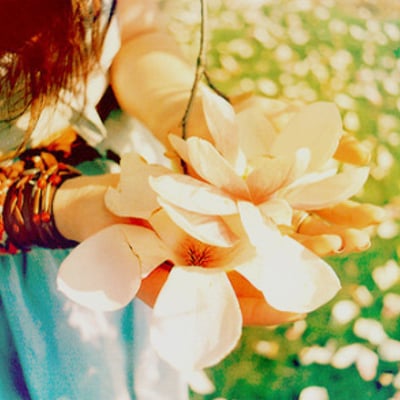 倾城暖爱的最爱