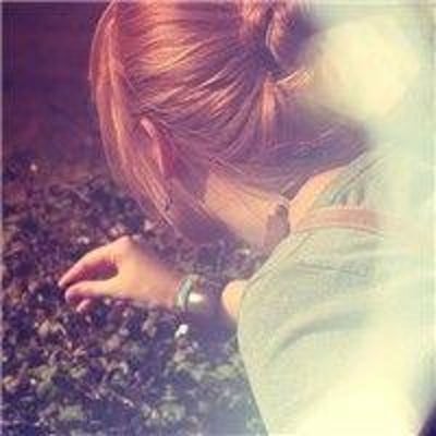 斗G小斗士的最爱