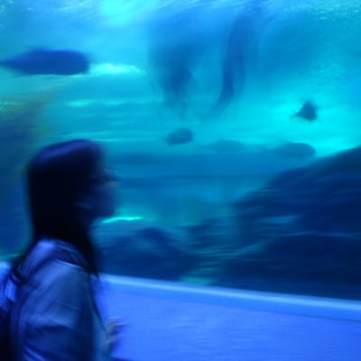 货七姑娘的最爱