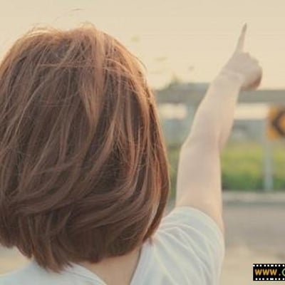 樱花散落天涯的最爱