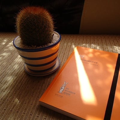 C039estLaVie的最爱