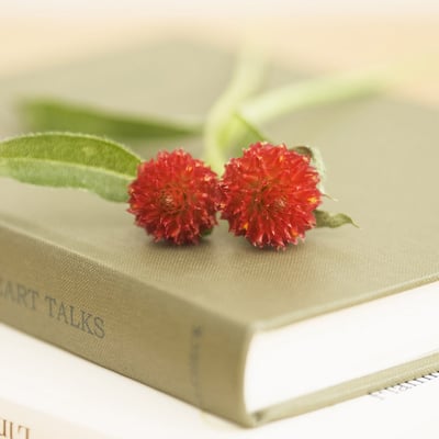 linnaiquan 126的最爱