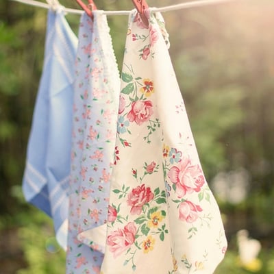 九月屋顶上的猫的最爱