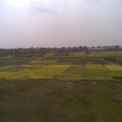 zhangrrr qq com的最爱