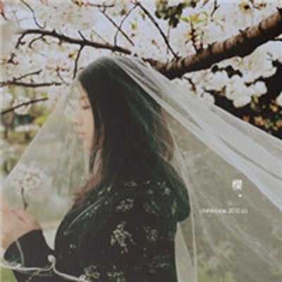 红色毛线一团糟的最爱