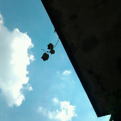 遠在遠方的風比的最爱