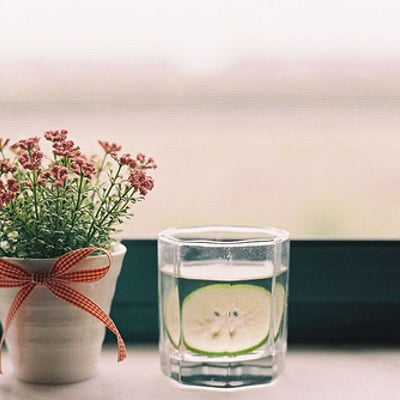 蛋花儿紫菜汤的最爱