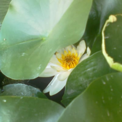 983799463 qq com的最爱