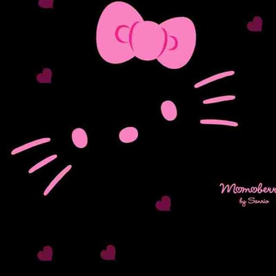 公主大人的猫的最爱