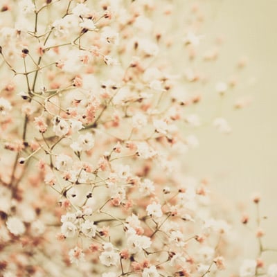 少年呀Zoe的最爱