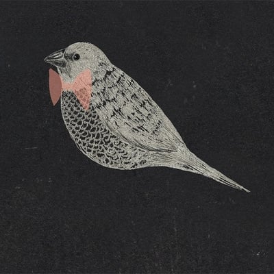 小麻雀余音的最爱