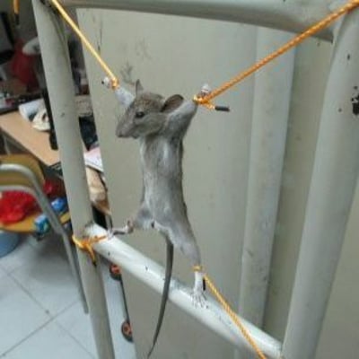 阿绿继续加油啊的最爱