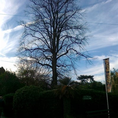 不断成长的最爱