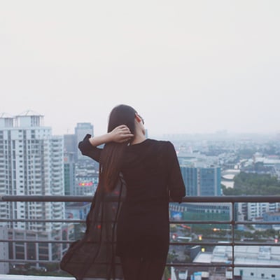 shibe不会放弃目的最爱