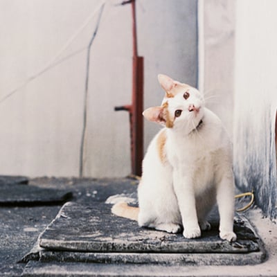 除了灵魂一无所的最爱