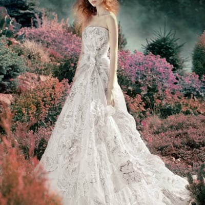 从秋天走来的最爱