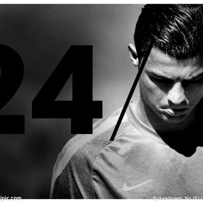 花如迷路的最爱