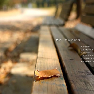 花瓣朵朵的最爱