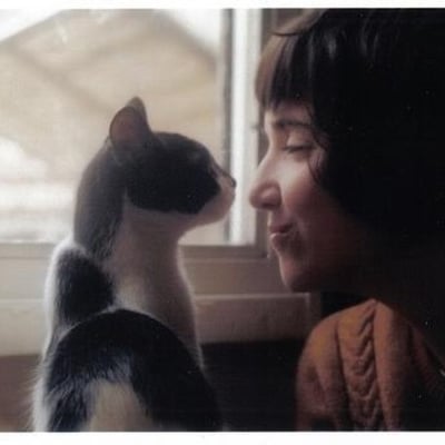 一个美丽的奇迹的最爱