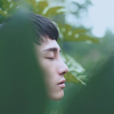 我当然是岛屿的最爱