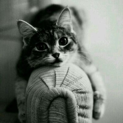 冰冰凉凉的暮子的最爱