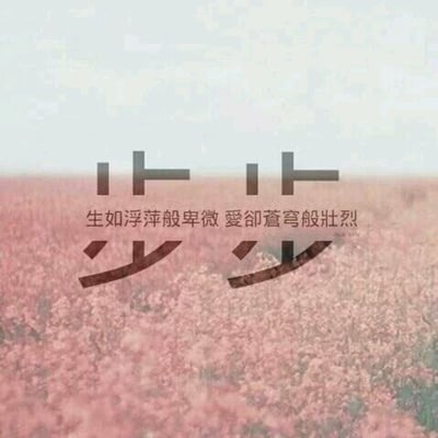 扭不开的奥利奥的最爱