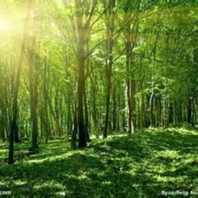 梦萦林泉 01的最爱