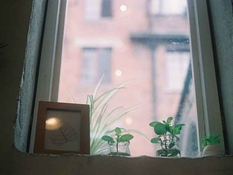 在办公室偷偷的浏览网页发呆ing