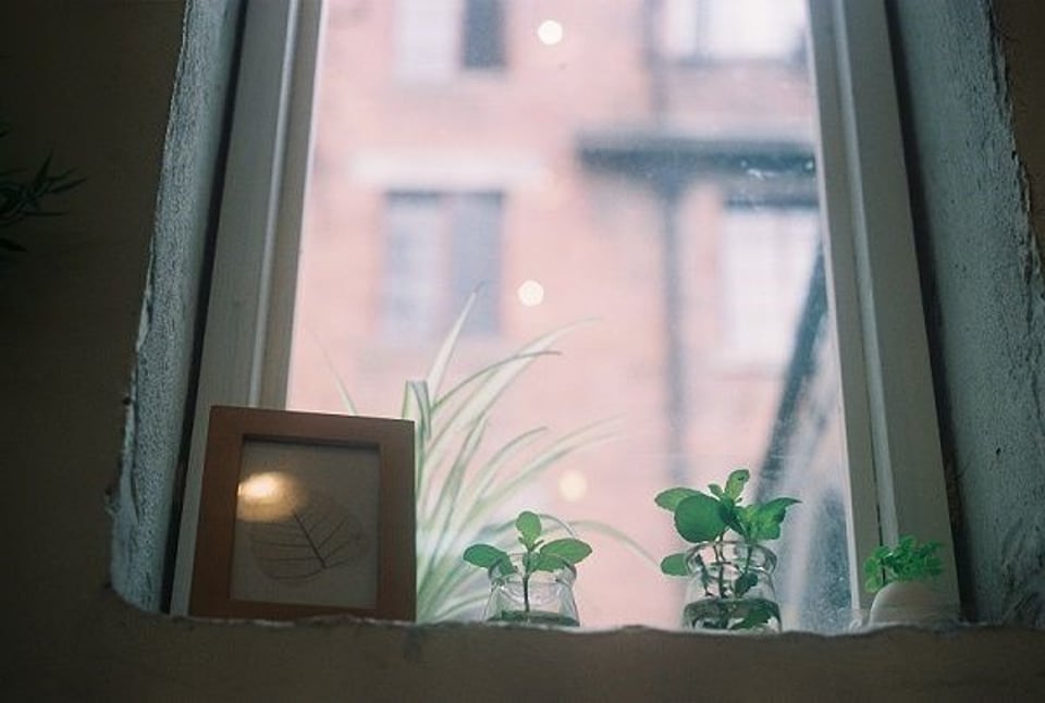 在办公室偷偷的浏览网页发呆ing