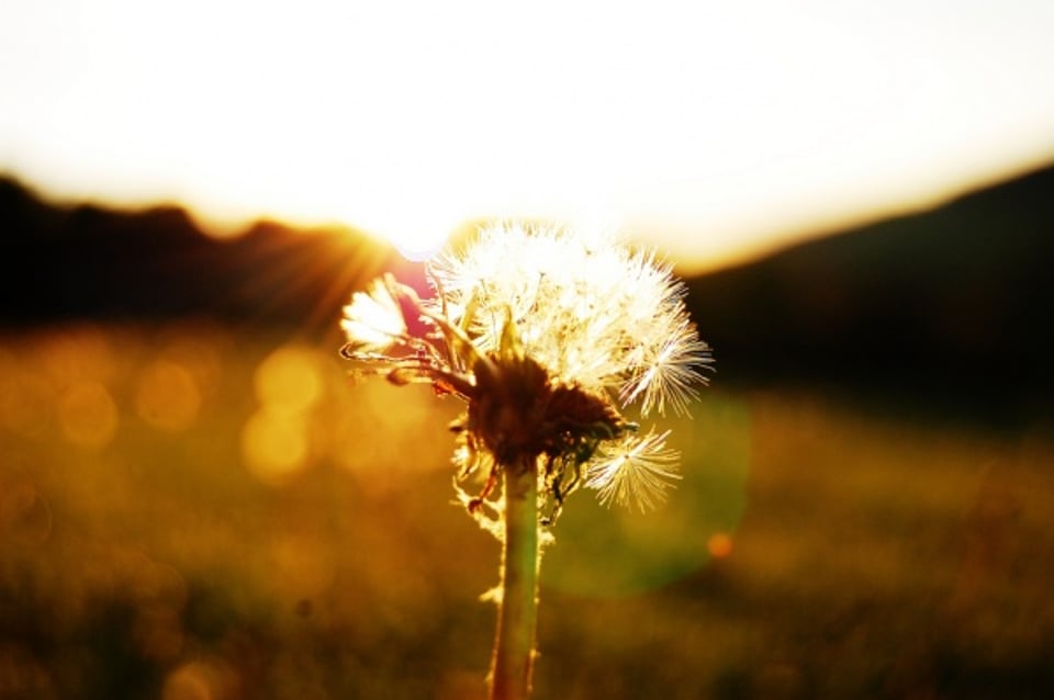 喜欢走在秋天落叶的校园里