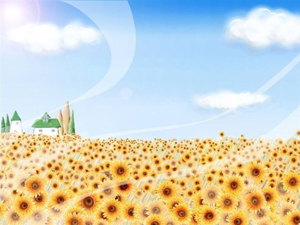 大片大片暖暖的阳光