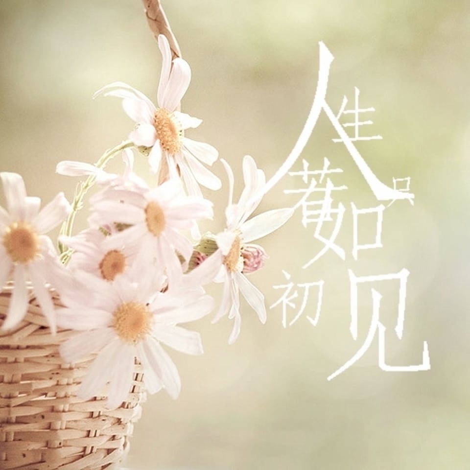 人生若只如初见