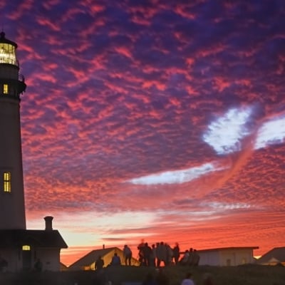 夜晚路灯下雪花飞舞的样子
