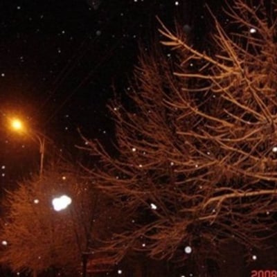 夜晚路灯下雪花飞舞的样子